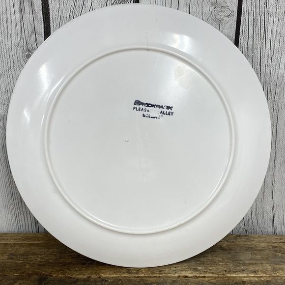 Set 4 Vtg Brookpark Melamine Melmac Plates Pleasant Valley Floral Grannycore - Picture 6 of 8